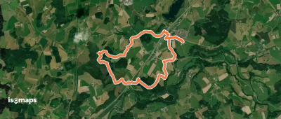 14 - Von Walershofen ins Arrisrieder Moos