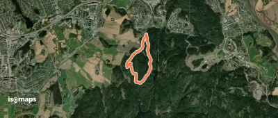 Lionsstubben