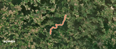 Wilder Mann 124 »Hochholzweg«, Naturpark Vorderer Bayerischer Wald