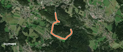 Marienkäfer