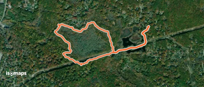 Pine Swamp Blue Trail