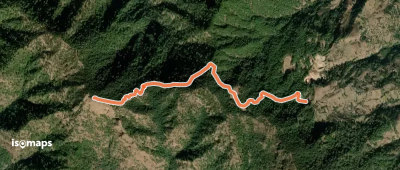 Mansa Devi Hike