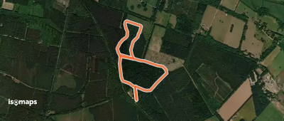 Lynford Stag Walk