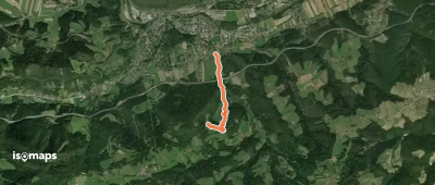 Enzenreith - Mostheuriger Waldstranz