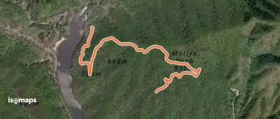 Molly's Knob Trail