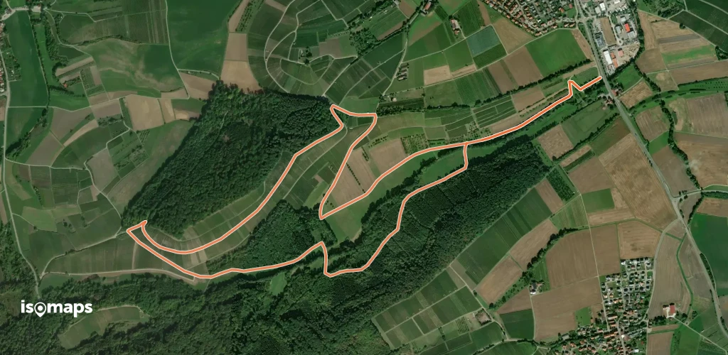 WT24 Föhrenberg-Tour