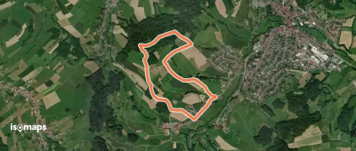 Rundwanderweg Reichelsheim Am Pechofen 3: Buchwaldweg