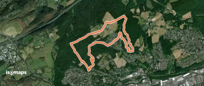 Rundweg A7 Birkenwäldchenweg (Hasper Stadtwald)