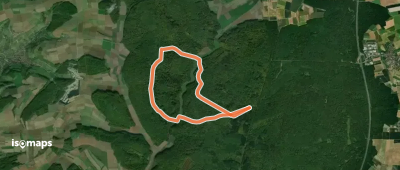 Hirschkäfer schwarz