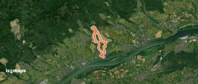 Weinwanderweg Hattenheim