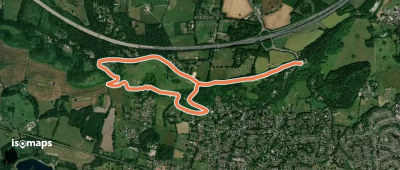 Reigate Hill Walk, Harewoods