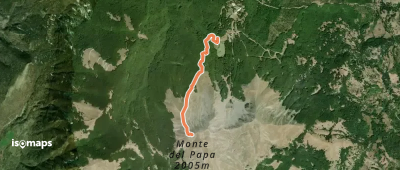 OSM Route 19877225