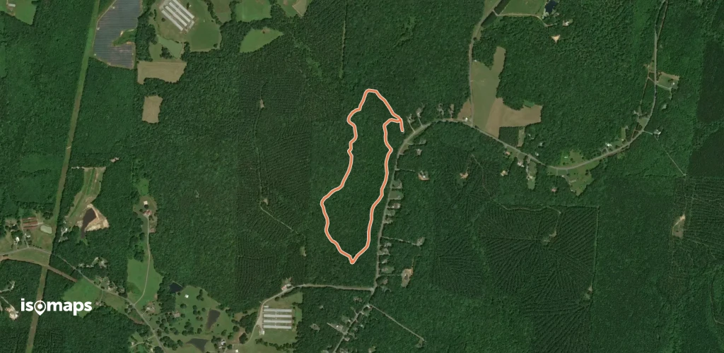 Ward Trail