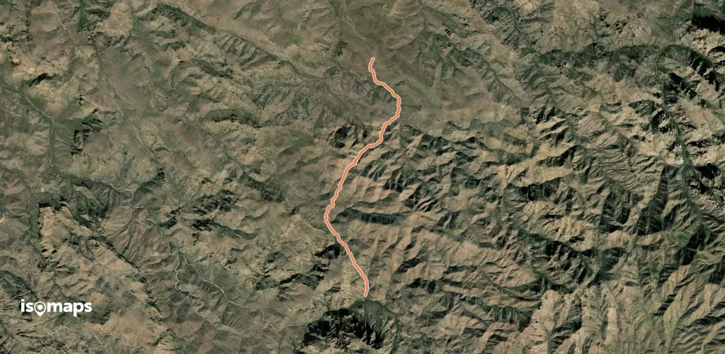 Hoolie Bacon Trail