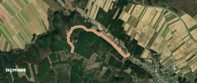 Weg zum 'Kreuz im kogelgebirge'