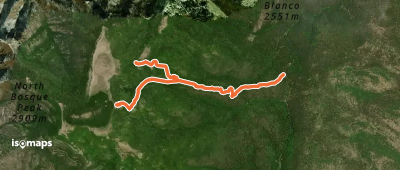Bosque Trail