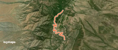 Pine Shadow Trail