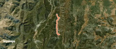 More Turkey Trail