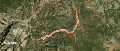 Forest Service Road 462