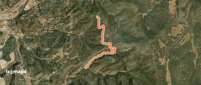 Coyote Split Trail