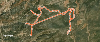 Coyote Trail