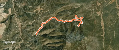 Chamisoso Trail