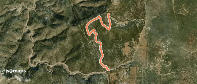 Forest Service Road 542