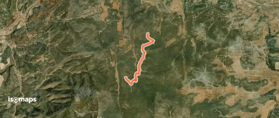 Pinyon Trail