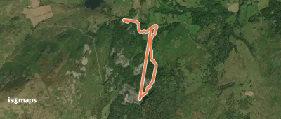 Hodge Close to Cathedral Quarry, Tarn Hows and Coniston