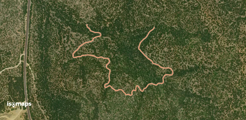 Pine Loop Trail