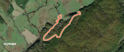 Laurel Loop Trail