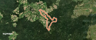 Neualbenreuth: Auf stillen Waldpfaden zur Grenze