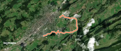 Chemin de l'abeille marron