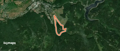 Binster - Kanzelkrone