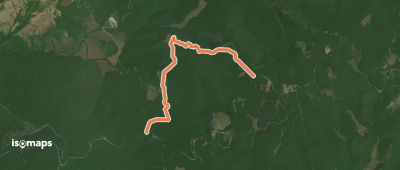 OSM Route 2452033