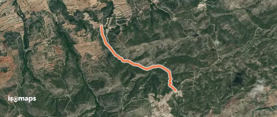 OSM Route 2657059