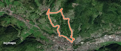 Circuit Narrenstein