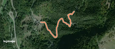 Sentiero Bosco di Liex