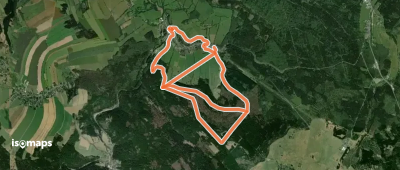 Ww Großer Ringweg Steinbach - Satzung