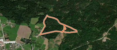 Märchenwald und Walderlebnispfad "Tännli"