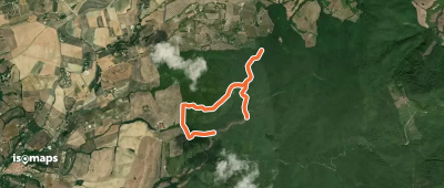OSM Route 2912306