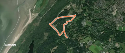 Libellenroute