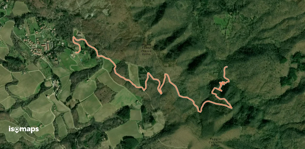 OSM Route 3161475