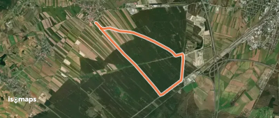 Laufstrecke Steinfeld 9,0 km