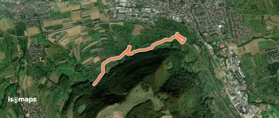 Dettinger Kirschenweg