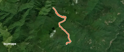 OSM Route 2317491
