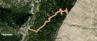 Caballo Torraso