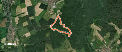 Rundwanderweg Ober-Ramstadt Grandes Semailles 1: Bismarckeichenweg