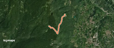 OSM Route 2338304