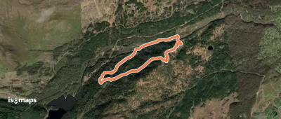 Dog Falls Trail